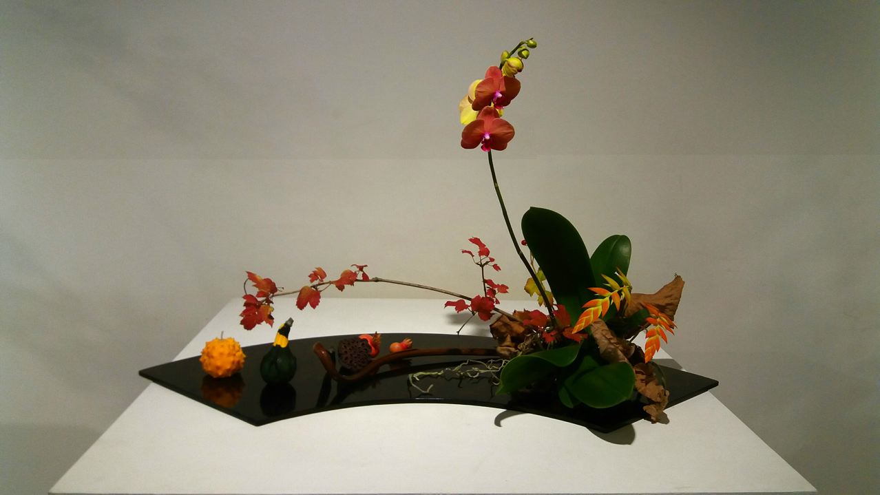 20180926_103006_resized