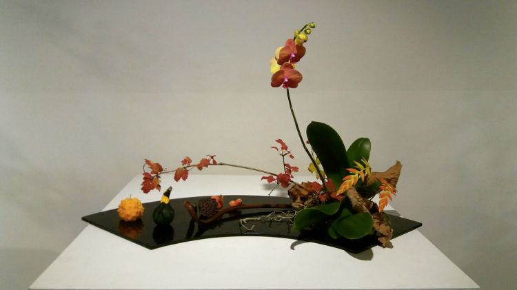 20180926_103006_resized