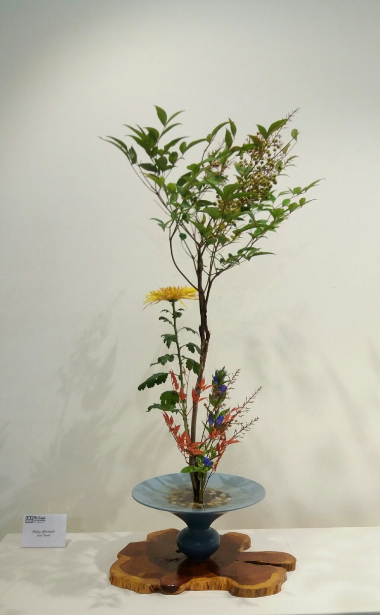 20180928_102759-1_resized