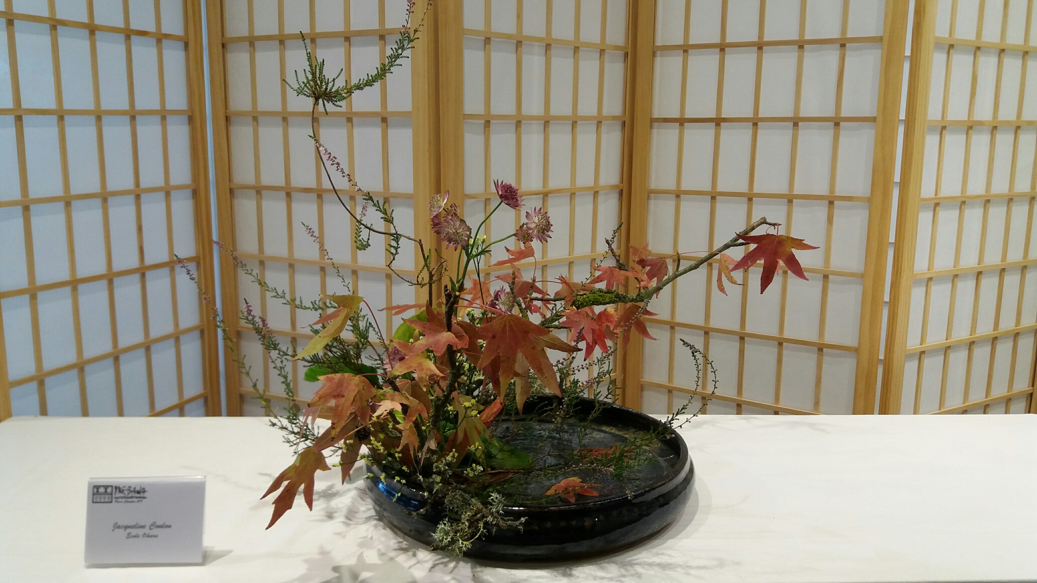 20180928_110010_resized